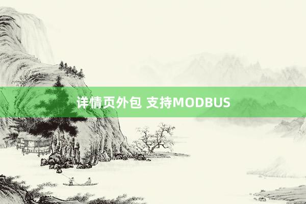 详情页外包 支持MODBUS