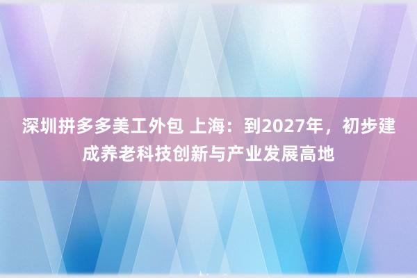 深圳拼多多美工外包 上海：到2027年，初步建成养老科技创新与产业发展高地