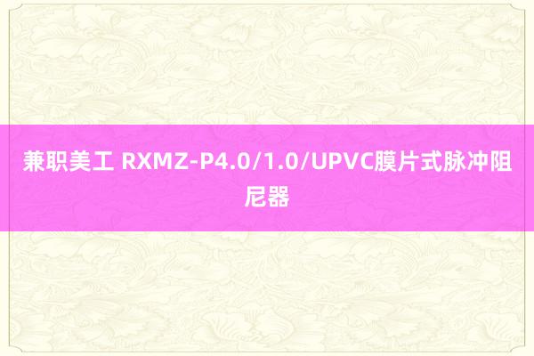 兼职美工 RXMZ-P4.0/1.0/UPVC膜片式脉冲阻尼器