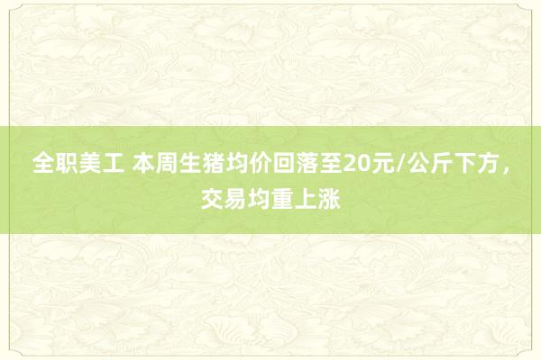 全职美工 本周生猪均价回落至20元/公斤下方，交易均重上涨