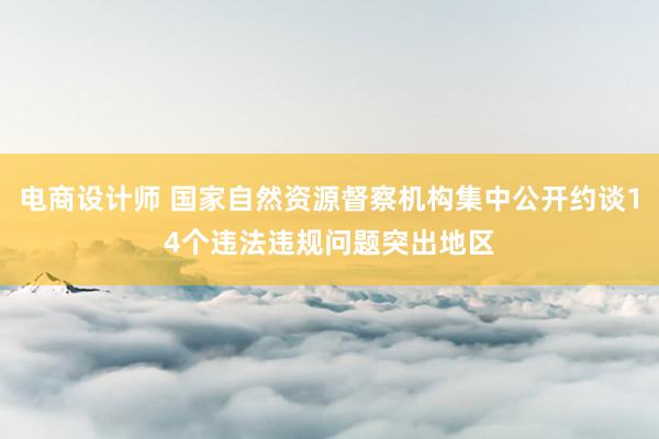 电商设计师 国家自然资源督察机构集中公开约谈14个违法违规问题突出地区